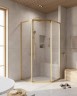 Душевой уголок Cezares Relax-304 100x100 RELAX-304-P-1-100-C-BORO профиль Брашированное золото стекло прозрачное