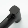 Гигиенический душ со смесителем Frap F7591-26 цвет Черный матовый