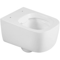 Унитаз Black&amp;White Universe W-730 730W00 подвесной с сиденьем Микролифт фарфор подвесной