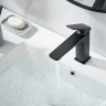 Смеситель для раковины Shevanik S8901H-1 цвет Черный