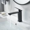 Смеситель для раковины Shevanik S8901H-1 цвет Черный