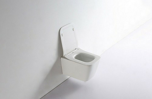 Унитаз CeramaLux TR5170 подвесной с сиденьем Микролифт фаянс подвесной