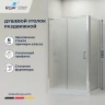 Душевой уголок RGW Passage (Пассаж) PA-045 100х80 350804508-21 профиль Хром стекло матовое-сатинат