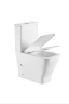 Унитаз компакт Owl 1975 Gap TOWLT200901 цвет Белый без бачка с сиденьем Микролифт