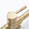 Смеситель для кухни Frap F4396-33 цвет Золотой сатин