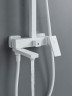 Душевая система Rose R2836C цвет Белый