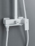 Душевая система Rose R2836C цвет Белый