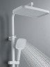 Душевая система Rose R2836C цвет Белый