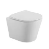 Унитаз BelBagno Flay-R BB053CHR/SC подвесной цвет Белый с сиденьем Микролифт