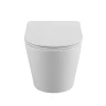 Унитаз BelBagno Flay-R BB053CHR/SC подвесной цвет Белый с сиденьем Микролифт