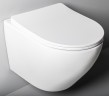 Унитаз WellWant Aura WWU01122W подвесной с сиденьем Микролифт