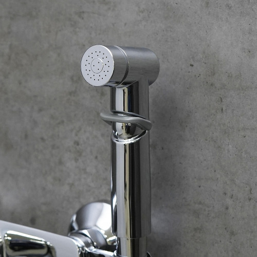 Гигиенический душ со смесителем Lemark Ortus LM11318C цвет Хром