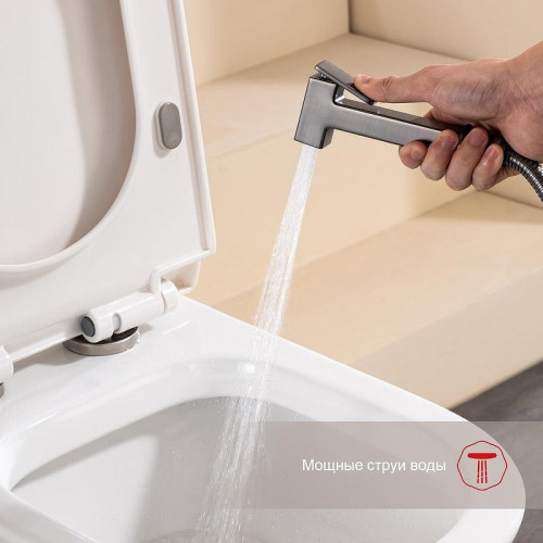 Гигиенический душ со смесителем Raglo R51.51.09 цвет Графит матовый