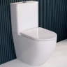 Унитаз компакт RGW SW-03 67420103-01 с бачком и сиденьем Микролифт фаянс напольный