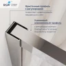 Душевой уголок RGW Leipzig LE-45 100х80 R 77124508-31 профиль цвет Хром стекло тонированное