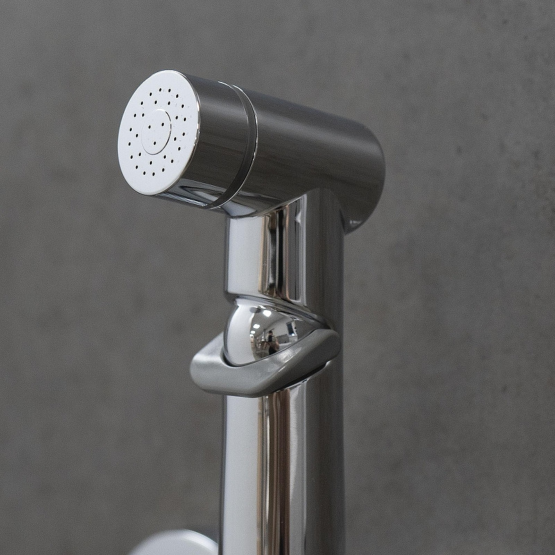 Гигиенический душ со смесителем Lemark Verba LM11418C цвет Хром