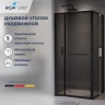 Душевой уголок RGW Leipzig 120*90 77124529-34 профиль цвет Черный стекло тонированное