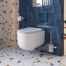 Унитаз BelBagno Soft BB084CH-TOR/SC подвесной цвет Белый с сиденьем Микролифт