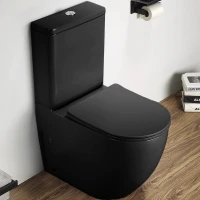 Унитаз компакт CeramaLux 2166XMB Черный матовый с бачком и сиденьем Микролифт фаянс напольный