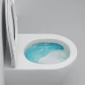 Унитаз AM.PM Like AquaSpin 2.0 C801901SC подвесной цвет Белый с сиденьем Микролифт
