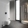 Унитаз AM.PM Like AquaSpin 2.0 C801901SC подвесной цвет Белый с сиденьем Микролифт