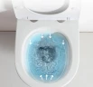 Унитаз Ceruttispa Adige Aria MW CT9245 подвесной Белый матовый с сиденьем Микролифт фарфор подвесной