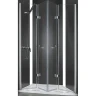 Душевая дверь в нишу Cezares ELENA-W-BS-22-180-C-Cr профиль Хром стекло прозрачное