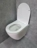 Унитаз CeramaLux TR2196 подвесной Белый глянцевый с сиденьем Микролифт фаянс подвесной