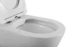 Унитаз BelBagno Flay-R BB1003CBR/SC приставной цвет Белый с сиденьем Микролифт