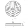 Верхний душ Caprigo Parts 99-502-crm Хром латунь