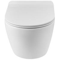 Унитаз BelBagno Sfera-R BB046CHR/BB902SC подвесной с сиденьем Микролифт фаянс подвесной