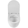 Унитаз BelBagno Sfera-R BB046CHR/BB902SC подвесной с сиденьем Микролифт фаянс подвесной
