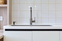 Смеситель для кухни Alveus Zeos P Monarch Anthracite 1136504 Антрацит латунь