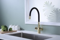 Смеситель для кухни Paulmark Salix Sa213419-G Золото латунь