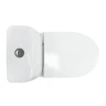 Унитаз-компакт Sanita Luxe Max SL DM WC.CC/Max/2-DM/WHT.G/S1 с бачком и сиденьем Микролифт
