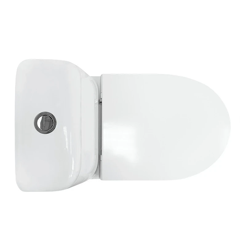 Унитаз-компакт Sanita Luxe Max SL DM WC.CC/Max/2-DM/WHT.G/S1 с бачком и сиденьем Микролифт