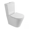 Унитаз компакт BelBagno Flay-R BB2149CPR/SC цвет Белый без бачка с сиденьем Микролифт