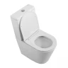Унитаз компакт BelBagno Flay-R BB2149CPR/SC цвет Белый без бачка с сиденьем Микролифт