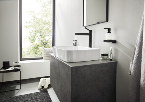 Двойной крючок Hansgrohe AddStoris 41755670 Черный матовый