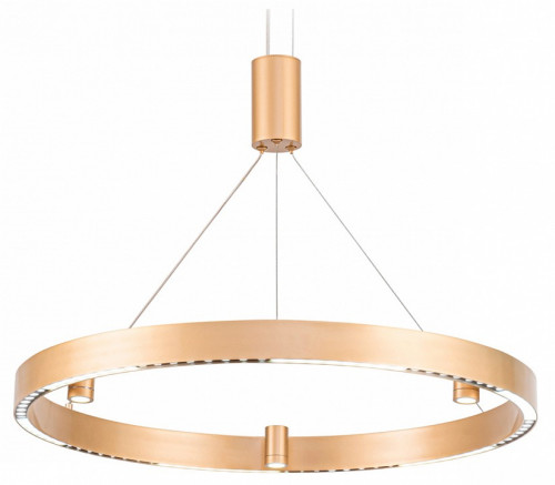 Подвесной светильник Ambrella Light FL FL5846