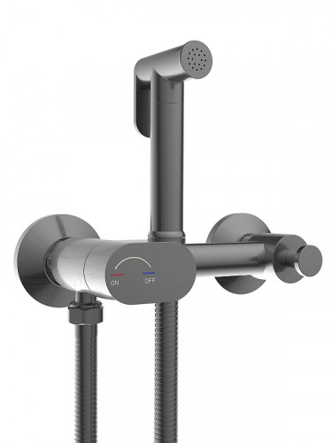 Гигиенический душ со смесителем WeltWasser Higi R02 GG 10000013662 цвет Брашированная оружейная сталь