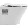 Унитаз с инсталляцией Avimano Promotion 1000080 + Grohe Rapid SL 38772001 с сиденьем Микролифт и клавишей смыва Хром