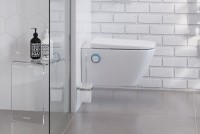 Ершик для унитаза Excellent Riko DOEX.1605CR Хром