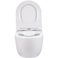 Унитаз Vincea Evo Rimless VT1-34S подвесной с сиденьем Микролифт фарфор подвесной