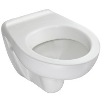 Унитаз Jacob Delafon Brive E4345G-00 подвесной без сиденья фарфор подвесной
