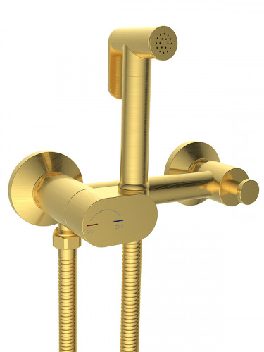 Гигиенический душ со смесителем WeltWasser Higi R02 MGL 10000013663 цвет Золото матовое