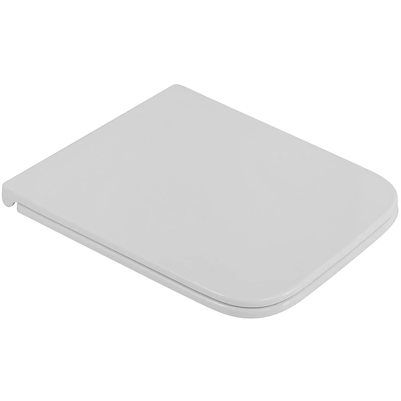 Унитаз BelBagno Luce-Tor BB076CH-TOR/SC подвесной с сиденьем Микролифт фаянс подвесной