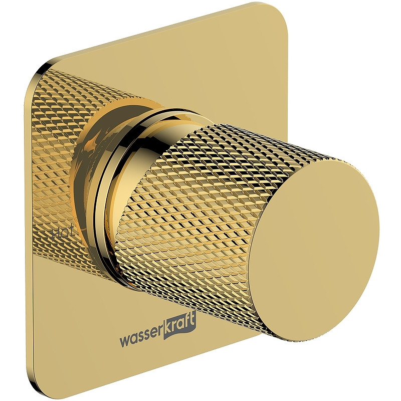 Смеситель для ванны WasserKRAFT Ems A7651.303.305.280.197.207 Золото глянцевое латунь встраиваемый