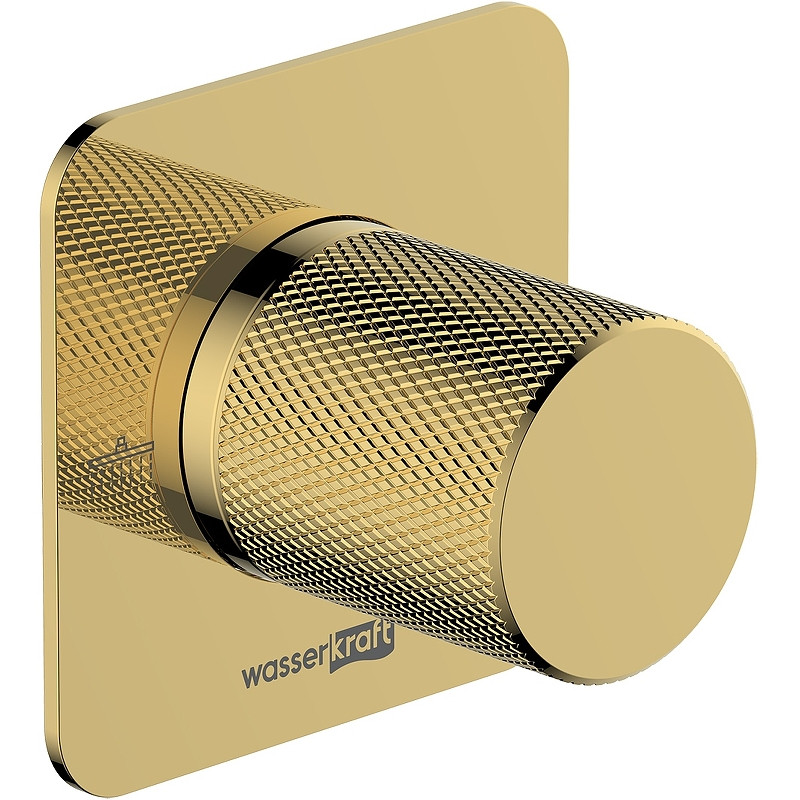 Смеситель для ванны WasserKRAFT Ems A7651.303.305.280.197.207 Золото глянцевое латунь встраиваемый