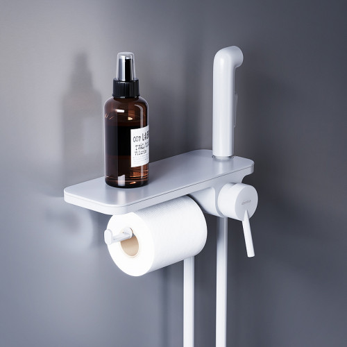 Гигиенический душ со смесителем Damixa Jupiter 773500200 Белый матовый латунь на стену